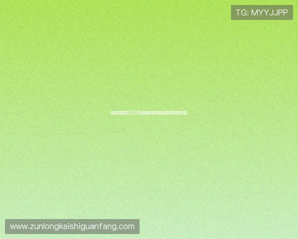 伊朗对阵新西兰2026世界杯友谊赛精彩瞬间与比赛数据全面回顾